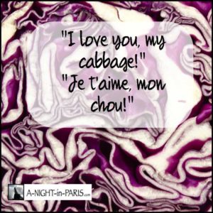 Chat to love you in Paris